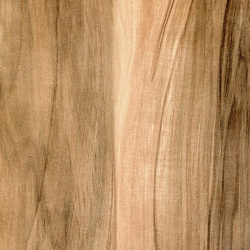 690 Индийское дерево