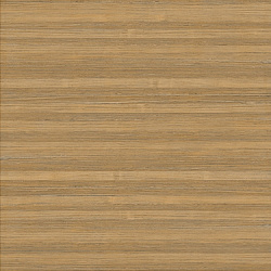 w-049 amazakou light